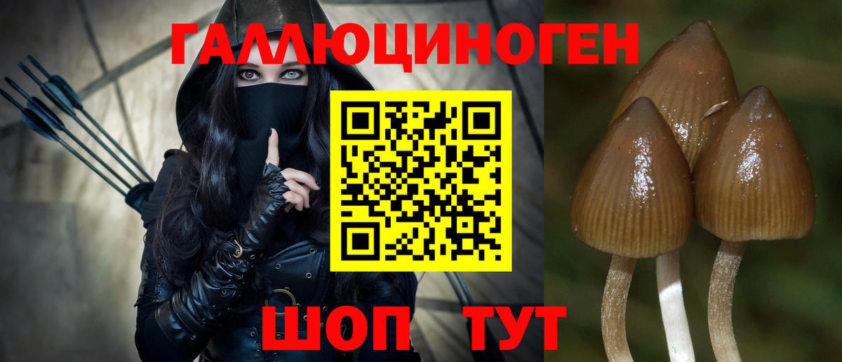 Балаково  Галлюциногенные грибы MAGIC MUSHROOMS  Вход с VPN  Псилоцибиновые грибы мухоморы 